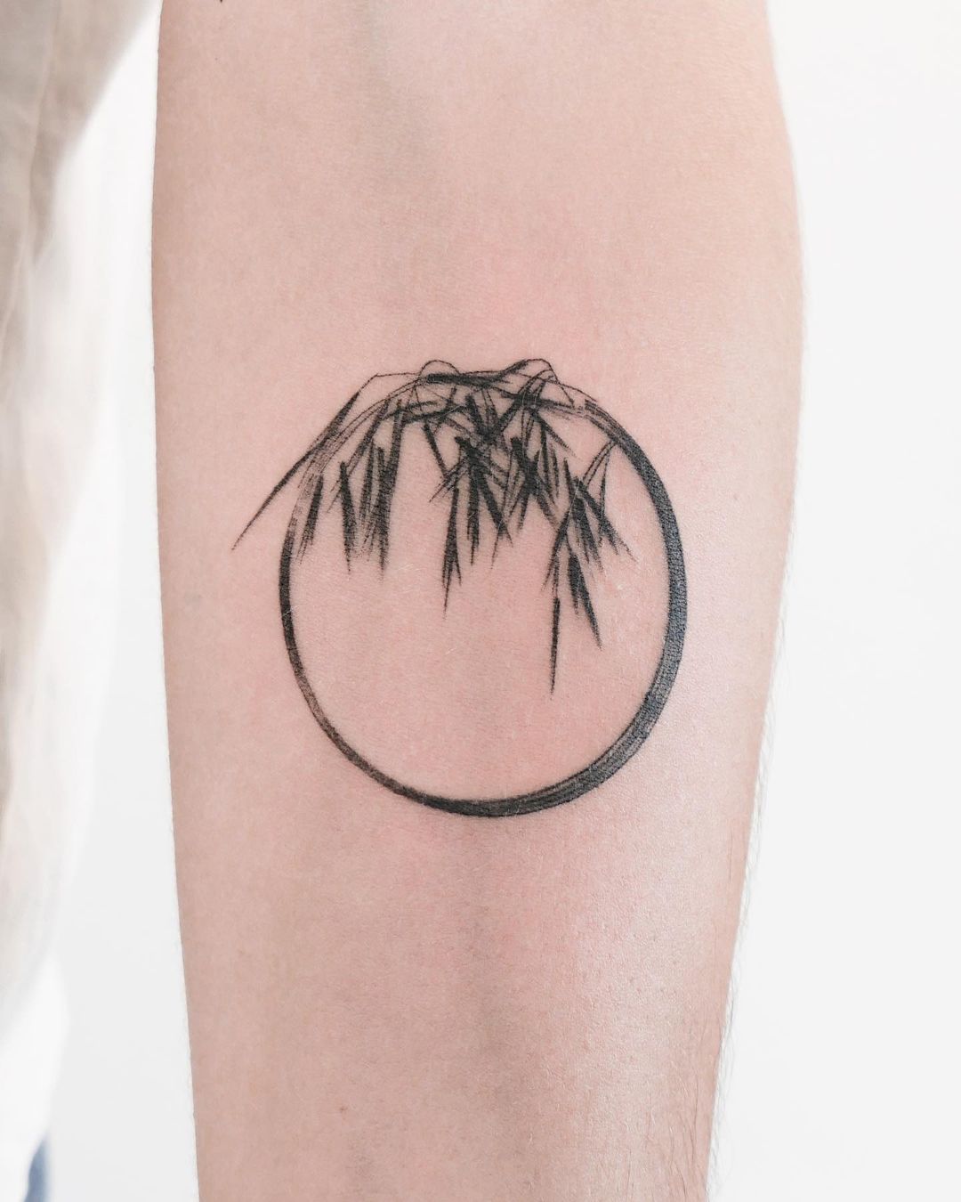 Planta