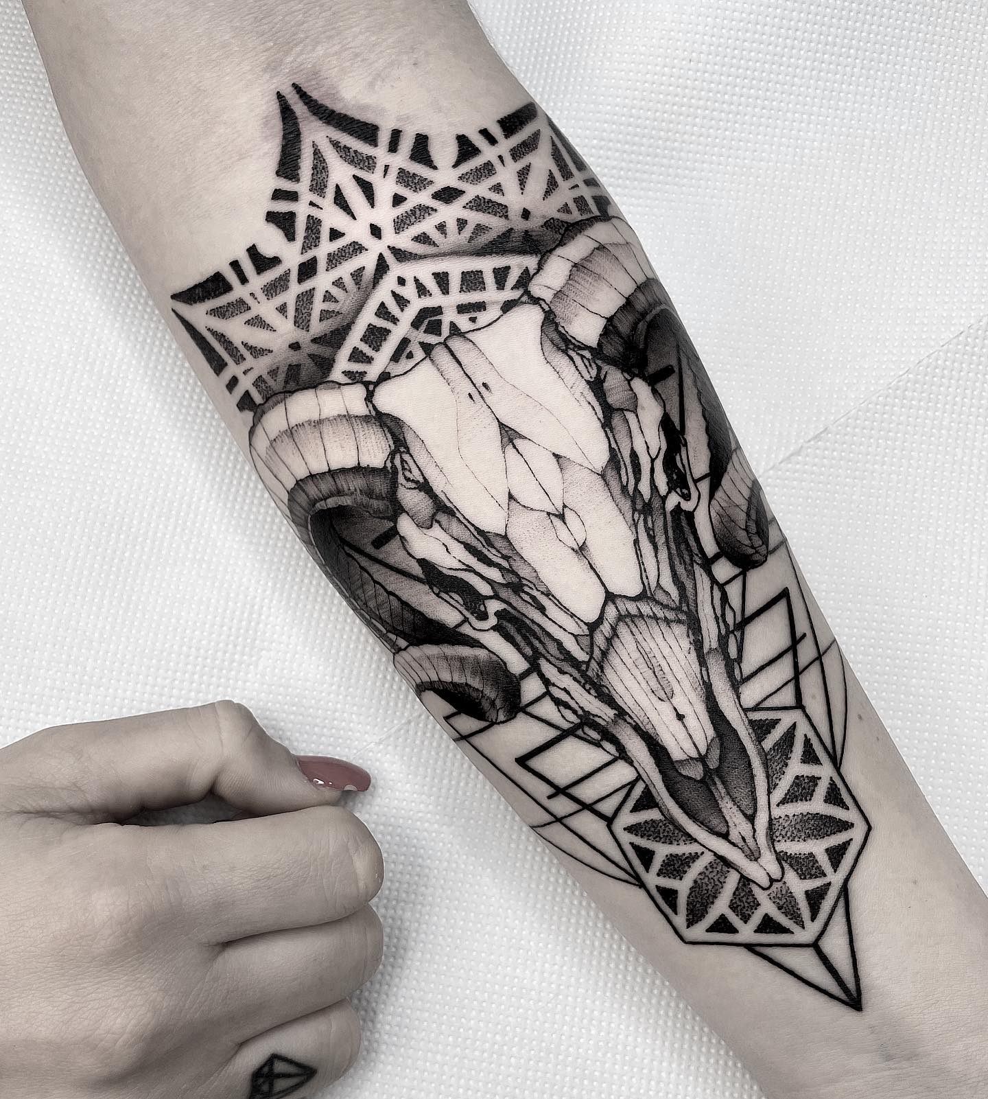 Tatuaje de Cráneo de Cabra Geométrica