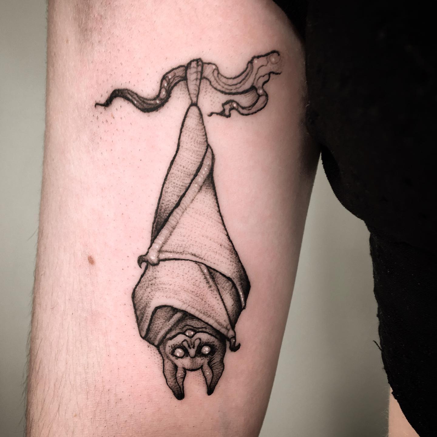 Tatuaje de murciélago somnoliento