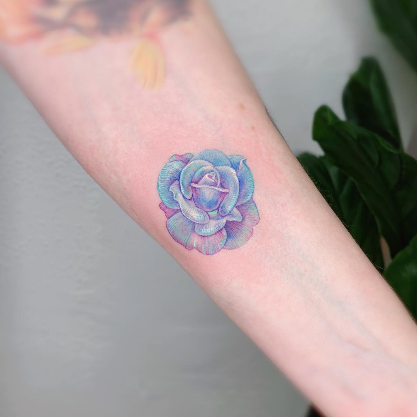 Tatuaje de rosa azul en el antebrazo.