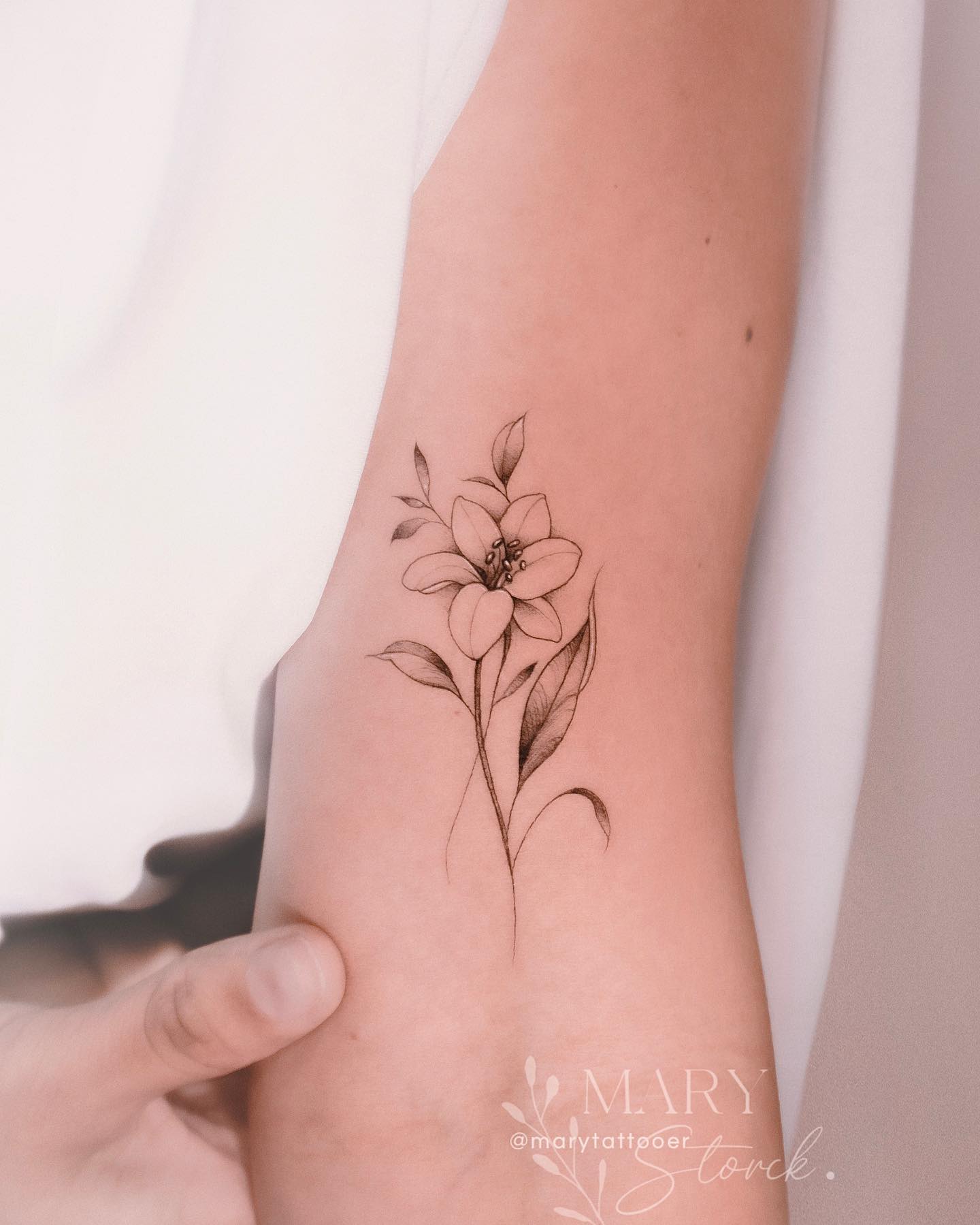 Dibujo lineal tatuaje de lirio