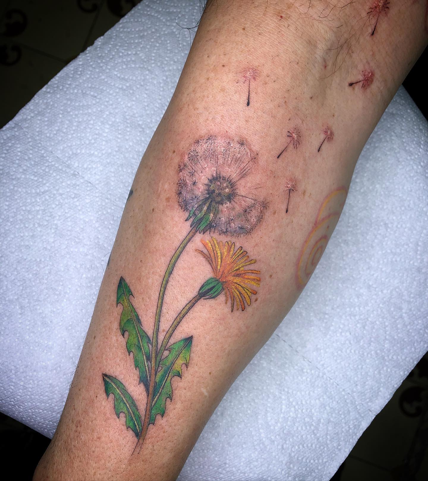 Tatuaje de Diente de león realista.