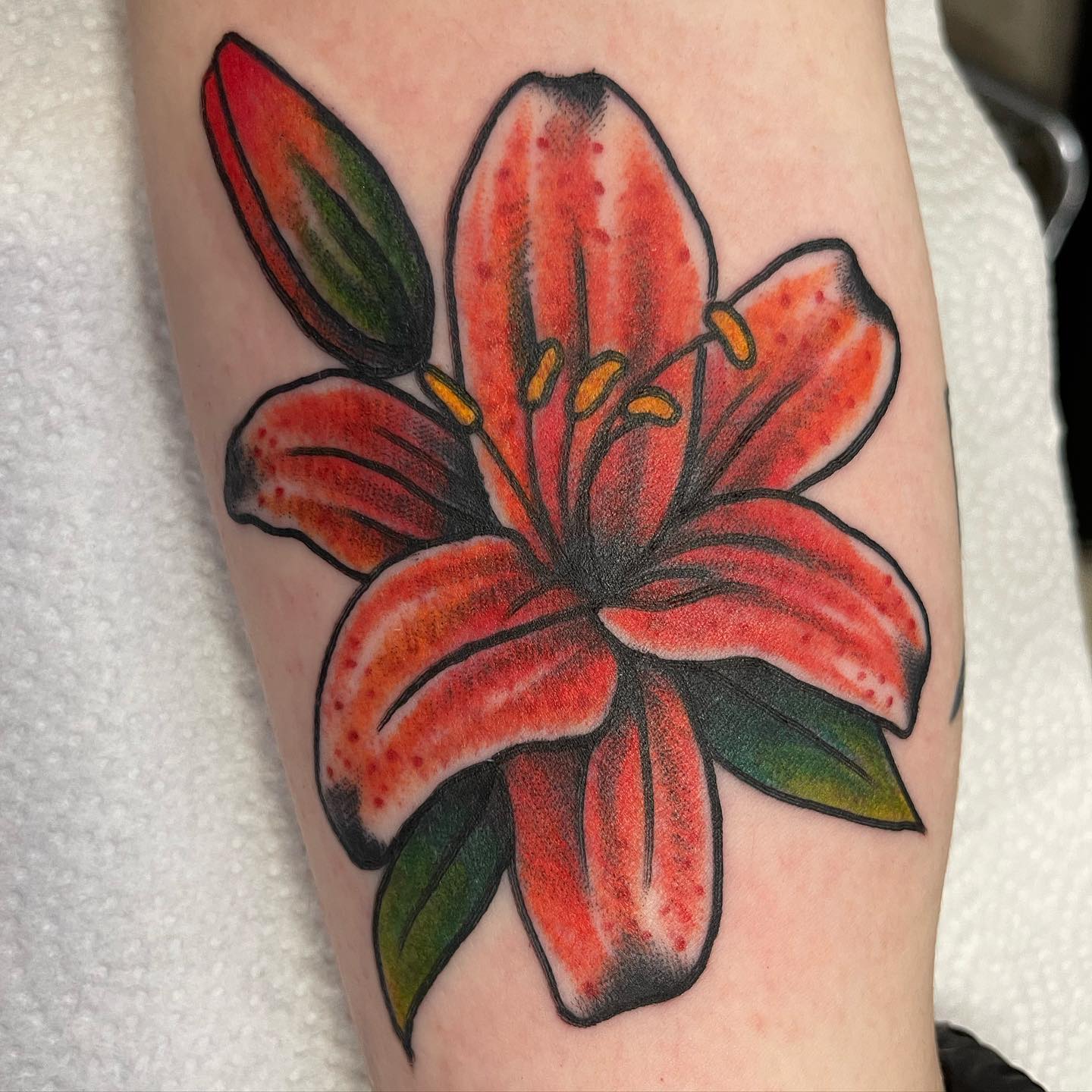 Tatuaje de Lirio Rojo al Estilo Antiguo