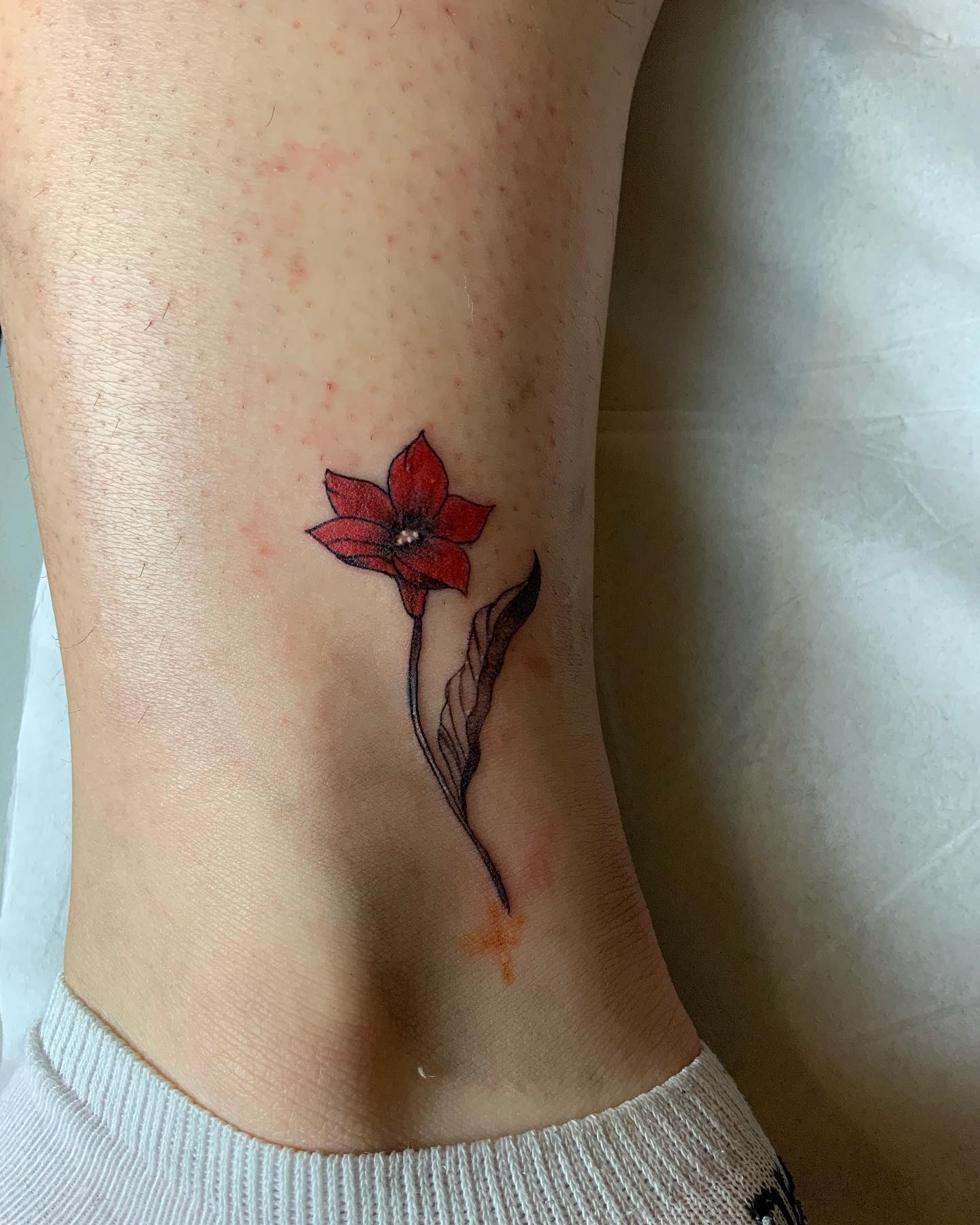 Tatuaje de pequeña lirio rojo.