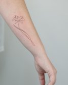 Tatuaje de Narciso Diseño Simple