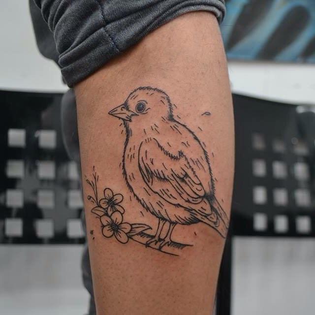 tatuaje pajaros 501