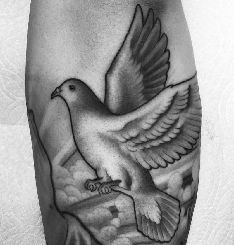 tatuaje de paloma perfecto para hombre y mujer tatuaje de paloma perfecto para hombre y mujer