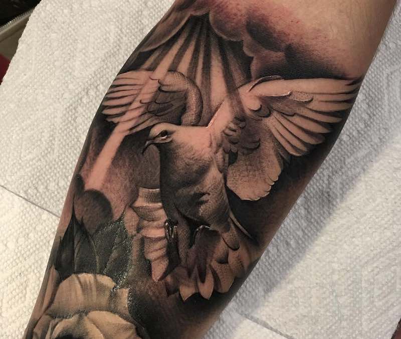 Un tatuaje de paloma muy interesante Un tatuaje de paloma muy interesante