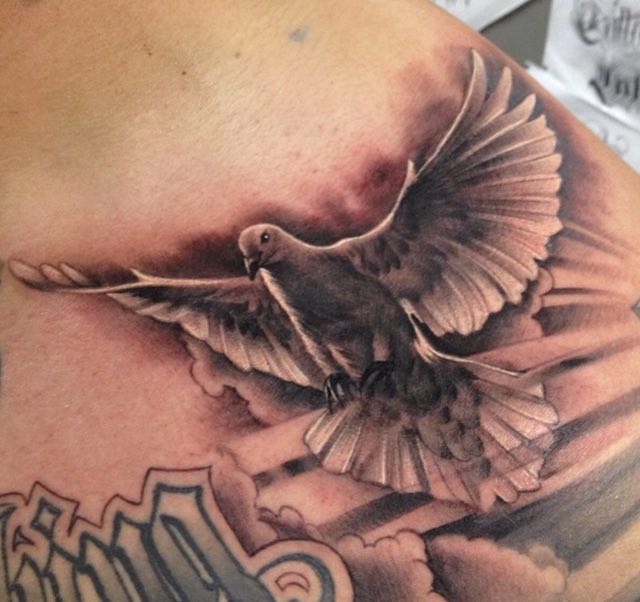 tatuaje de paloma perfecto para hombre y mujer tatuaje de paloma perfecto para hombre y mujer