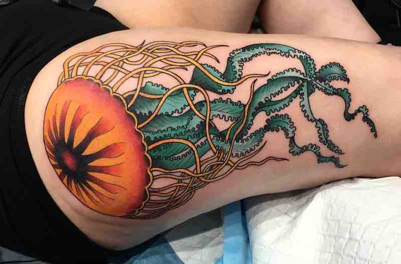tatuaje de medusa perfecto para hombre tatuaje de medusa perfecto para hombre
