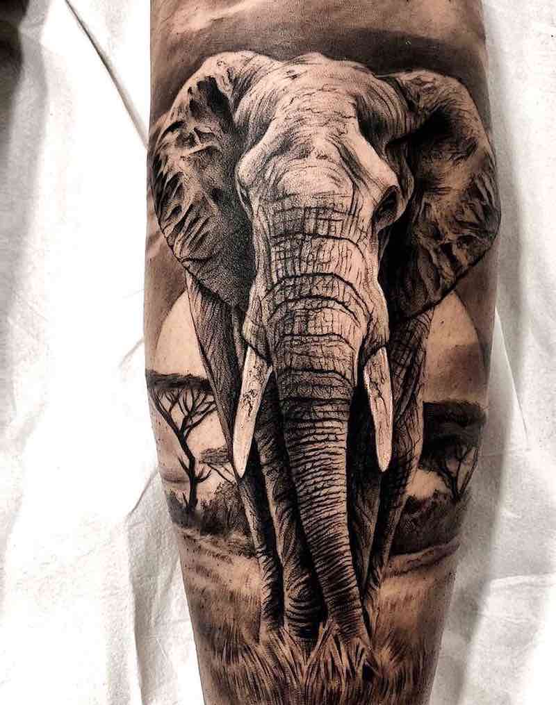 tatuaje de elefante perfecto para hombre y mujer tatuaje de elefante perfecto para hombre y mujer