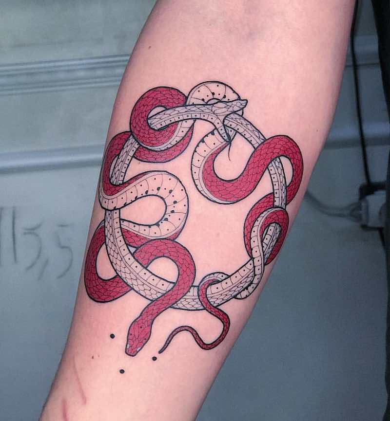 tatuaje de serpiente perfecto para hombre y mujer tatuaje de serpiente perfecto para hombre y mujer