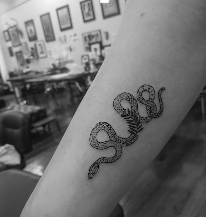 una persona con un tatuaje de serpiente una persona con un tatuaje de serpiente