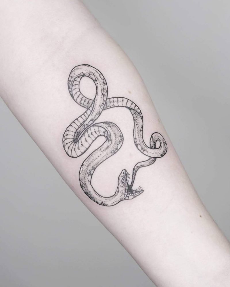 tatuaje de serpiente perfecto para hombre y mujer tatuaje de serpiente perfecto para hombre y mujer