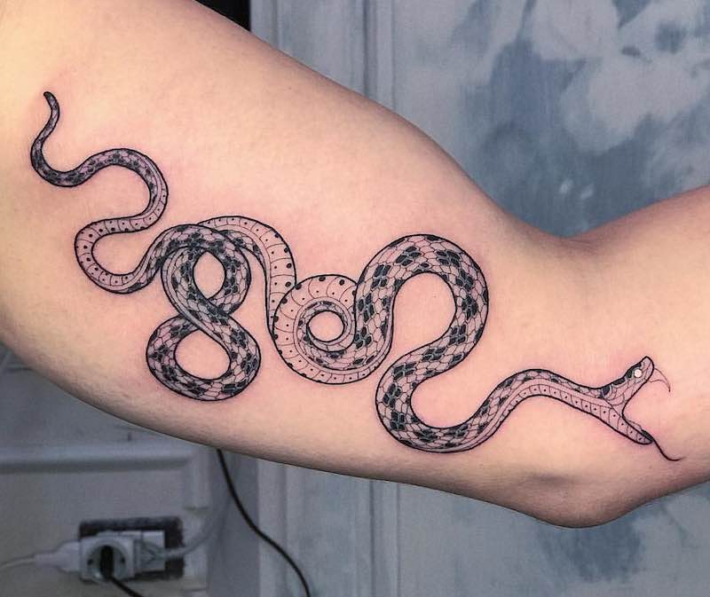 tatuaje de serpiente perfecto para hombre y mujer tatuaje de serpiente perfecto para hombre y mujer