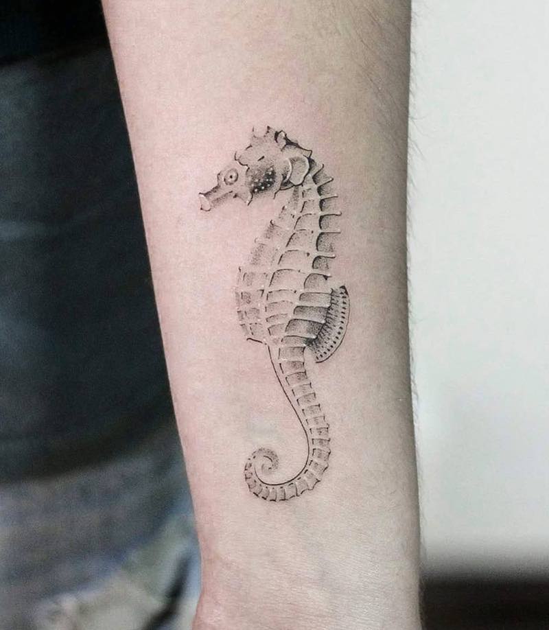 tatuaje de caballito de mar para hombre y mujer tatuaje de caballito de mar para hombre y mujer