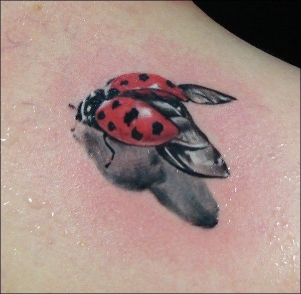 tatuaje-mariquitas-06