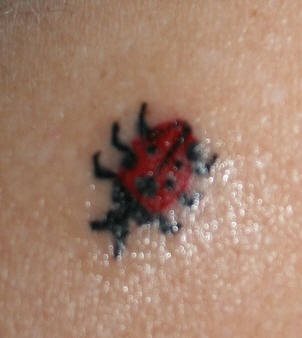 tatuaje-mariquitas-10