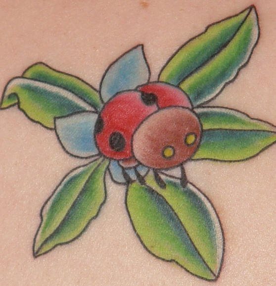 tatuaje-mariquitas-13