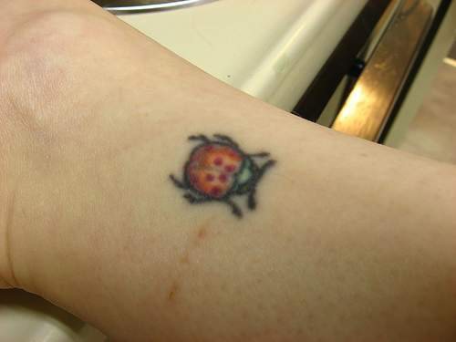 tatuaje-mariquitas-15