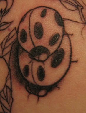 tatuaje-mariquitas-16