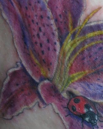 tatuaje-mariquitas-17