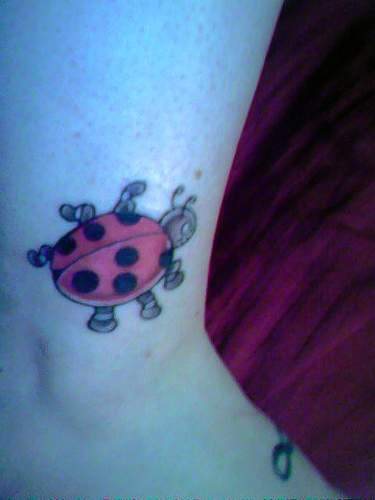 tatuaje-mariquitas-22