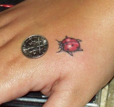 tatuaje-mariquitas-23