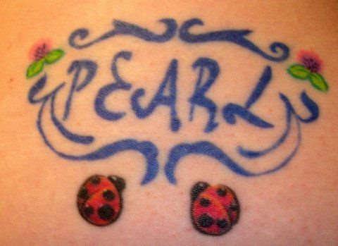 tatuaje-mariquitas-33