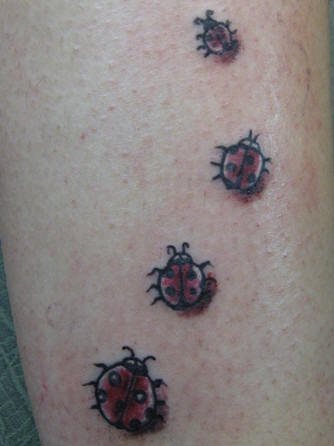 tatuaje-mariquitas-36