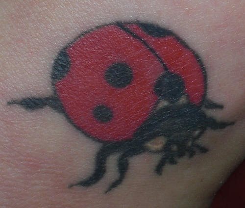 tatuaje-mariquitas-37