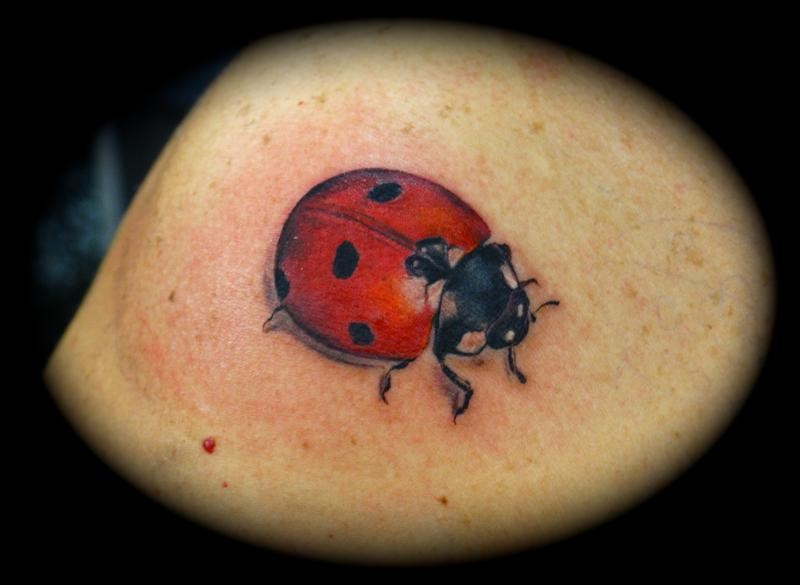 tatuajes-de-mariquitas-06