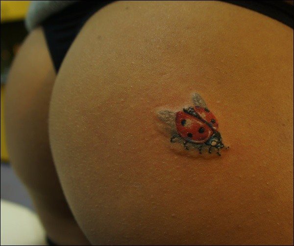 tatuajes-de-mariquitas-12