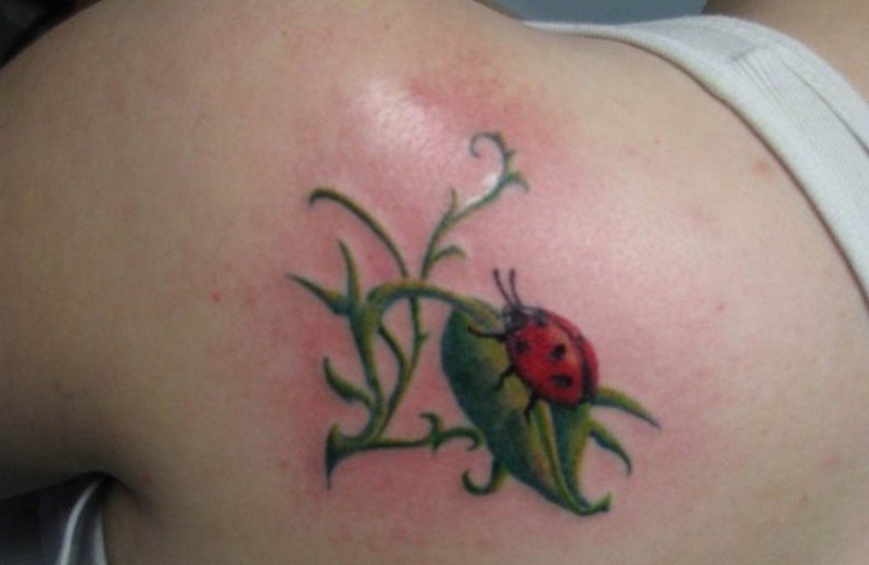 tatuajes-de-mariquitas-19