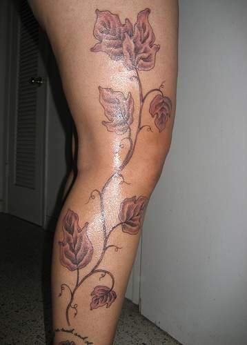 planta-trepadora-tattoo-33