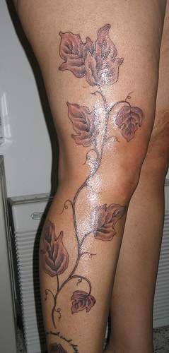 planta-trepadora-tattoo-36