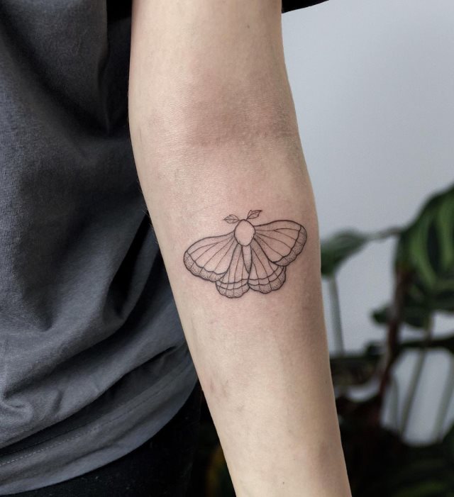 tattoo femenino bonita mariposa 13