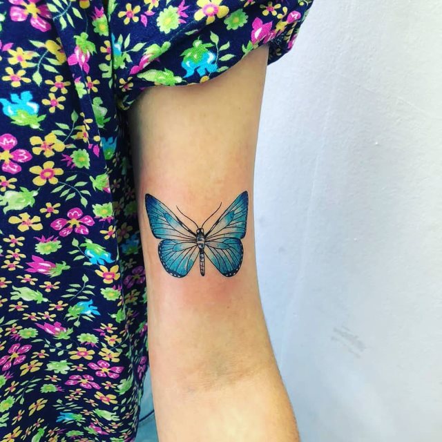 tattoo femenino bonita mariposa 17