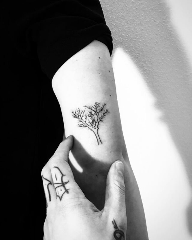 tattoo femenino con un arbol 46