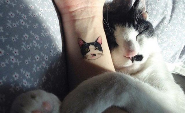 tattoo femenino con un gato 86