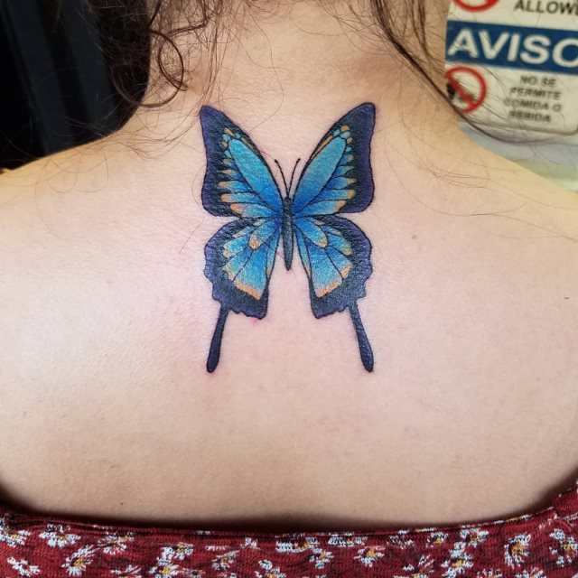 tattoo femenino de mariposa 190