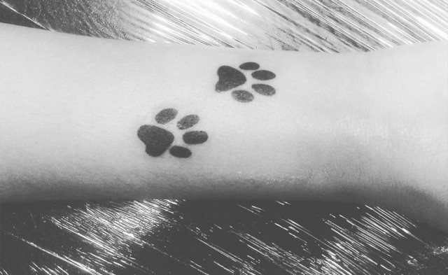 tattoo femenino huella pata de perro 25