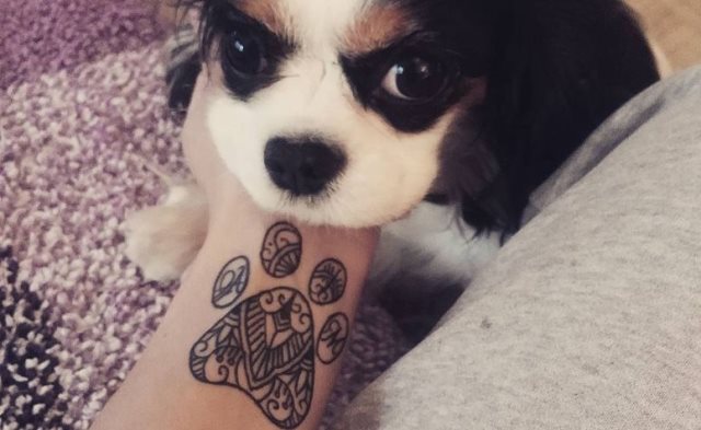 tattoo femenino huella pata de perro 36