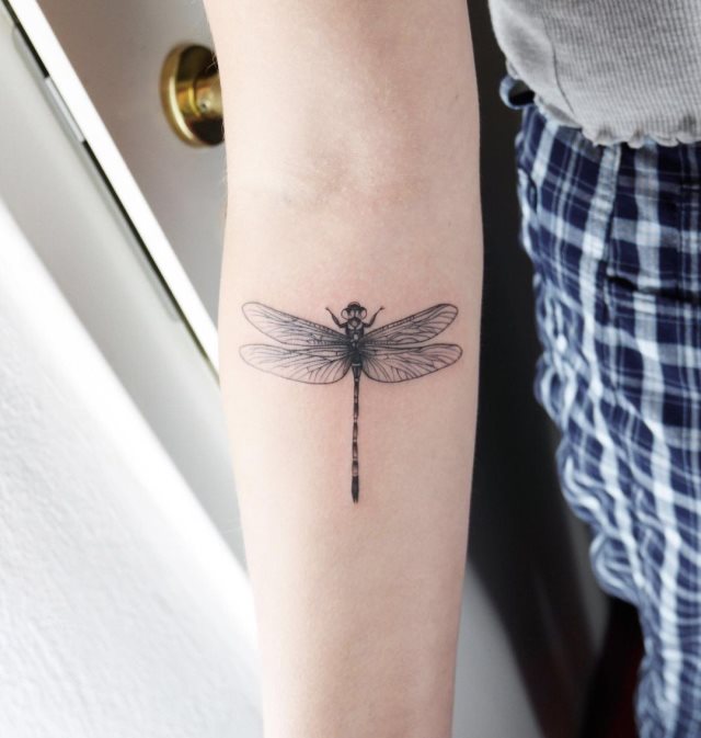 tattoo femenino libelula 11