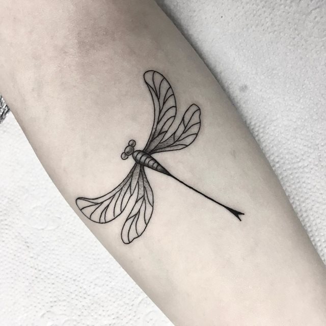 tattoo femenino libelula 14
