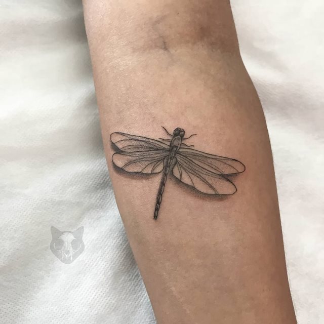 tattoo femenino libelula 24