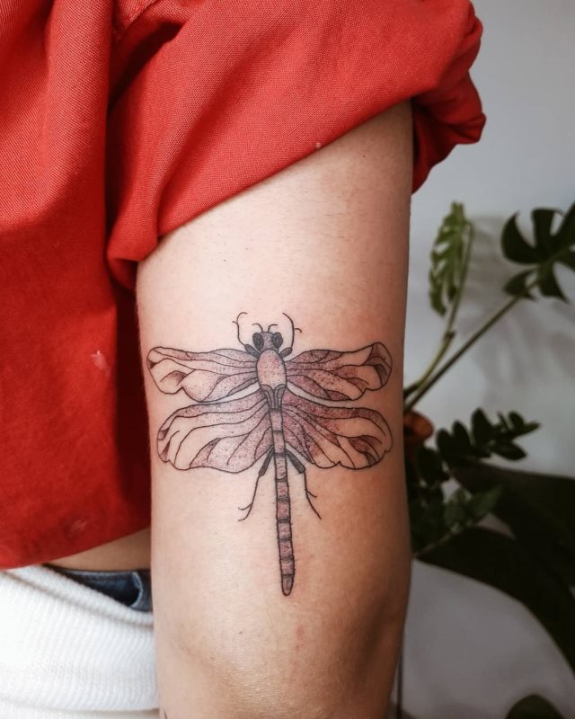 tattoo femenino libelula 27