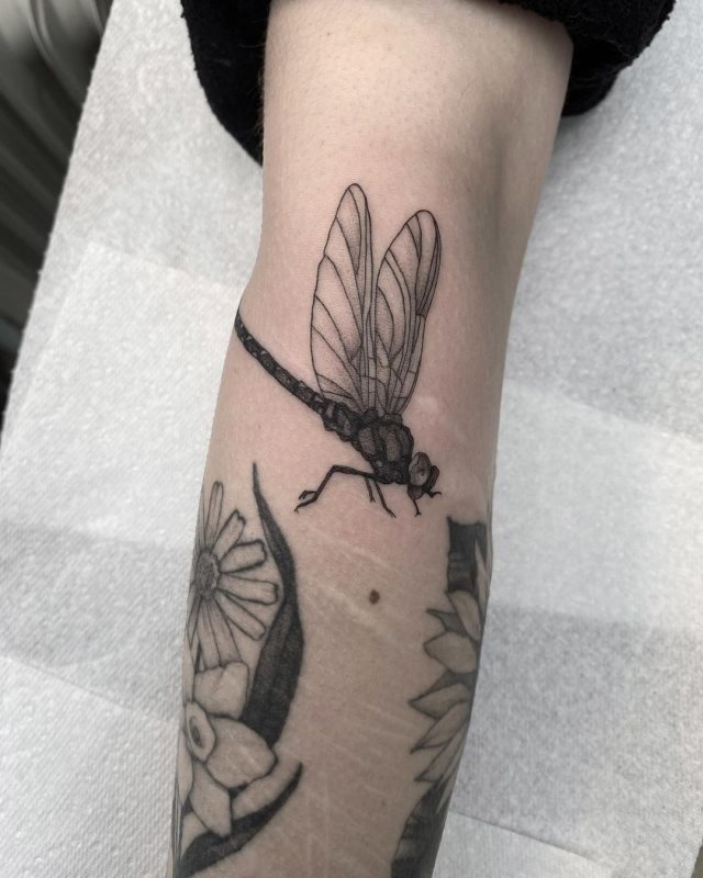 tattoo femenino libelula 49