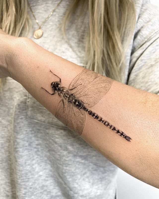 tattoo femenino libelula 50