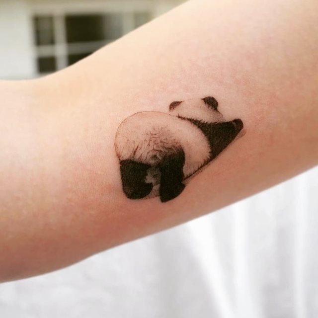 tattoo femenino oso panda 01